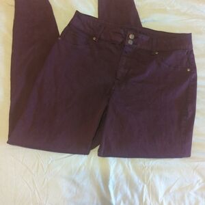 Stylish Purple Pants